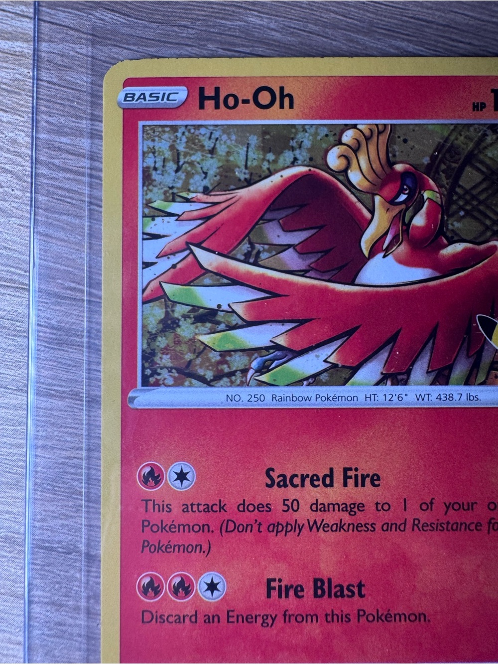 Kyogre & Ho-Oh Pokemon Celebrations (2) - Picture 10 of 16